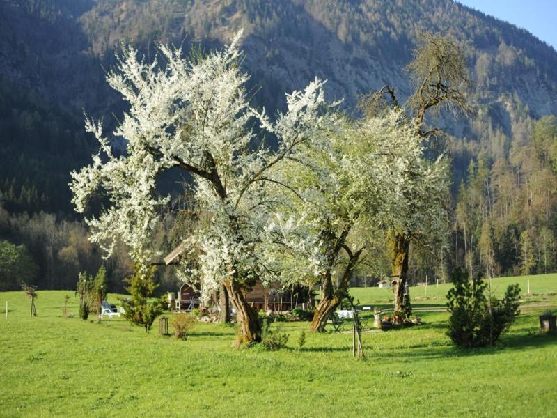 Hansenbauernhof Inkl. Chiemgaukarte Ruhpolding Esterno foto