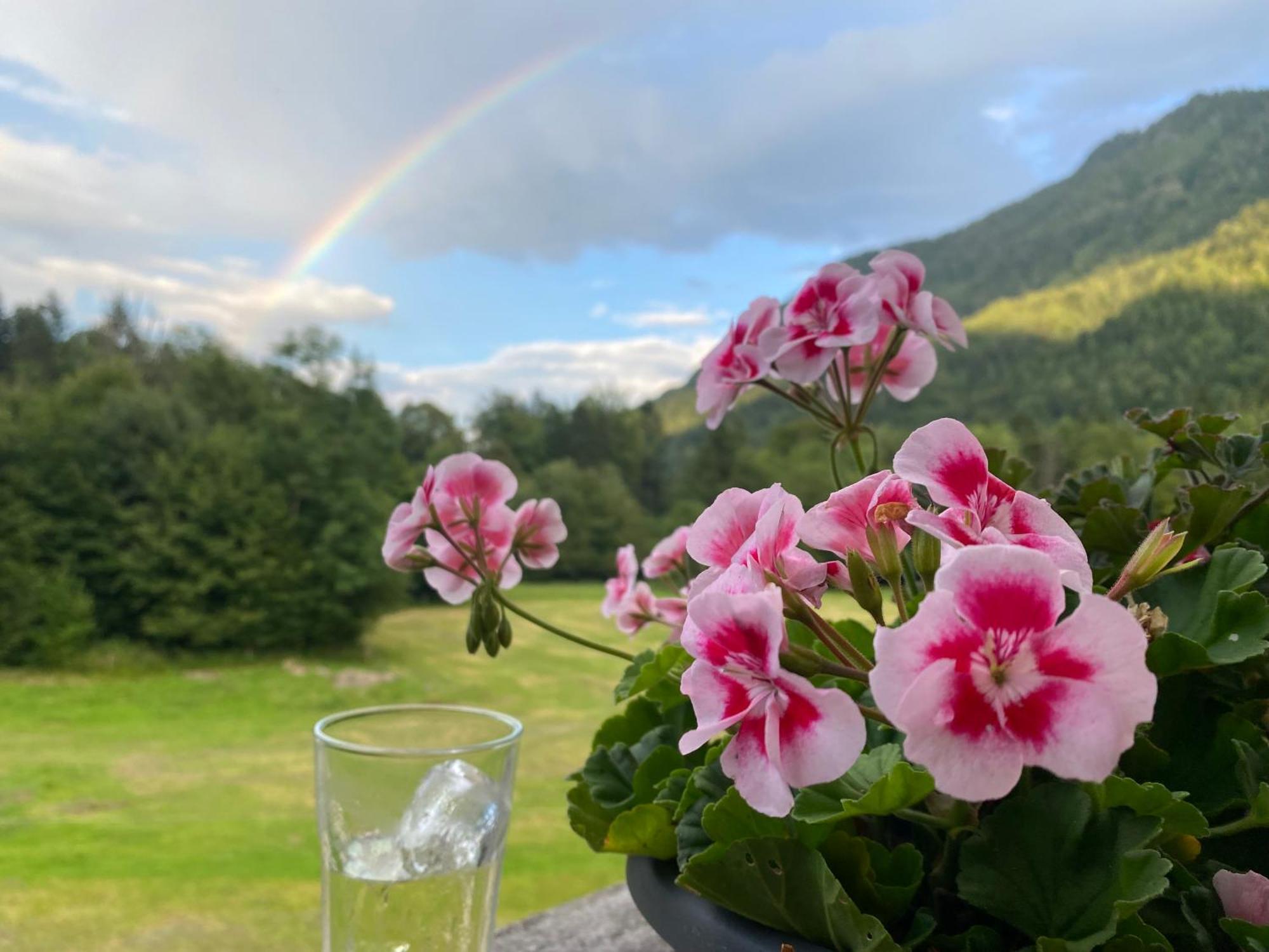 Hansenbauernhof Inkl. Chiemgaukarte Ruhpolding Esterno foto